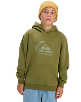 Boys Comp Logo Hoodie in Loden Green