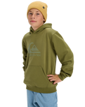 Boys Comp Logo Hoodie in Loden Green