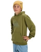 Boys Comp Logo Hoodie in Loden Green