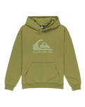 Boys Comp Logo Hoodie in Loden Green