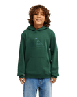 The Quiksilver Boys Boys Comp Logo Hoodie in Forest