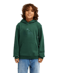 The Quiksilver Boys Boys Comp Logo Hoodie in Forest