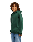 The Quiksilver Boys Boys Comp Logo Hoodie in Forest