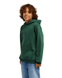 The Quiksilver Boys Boys Comp Logo Hoodie in Forest