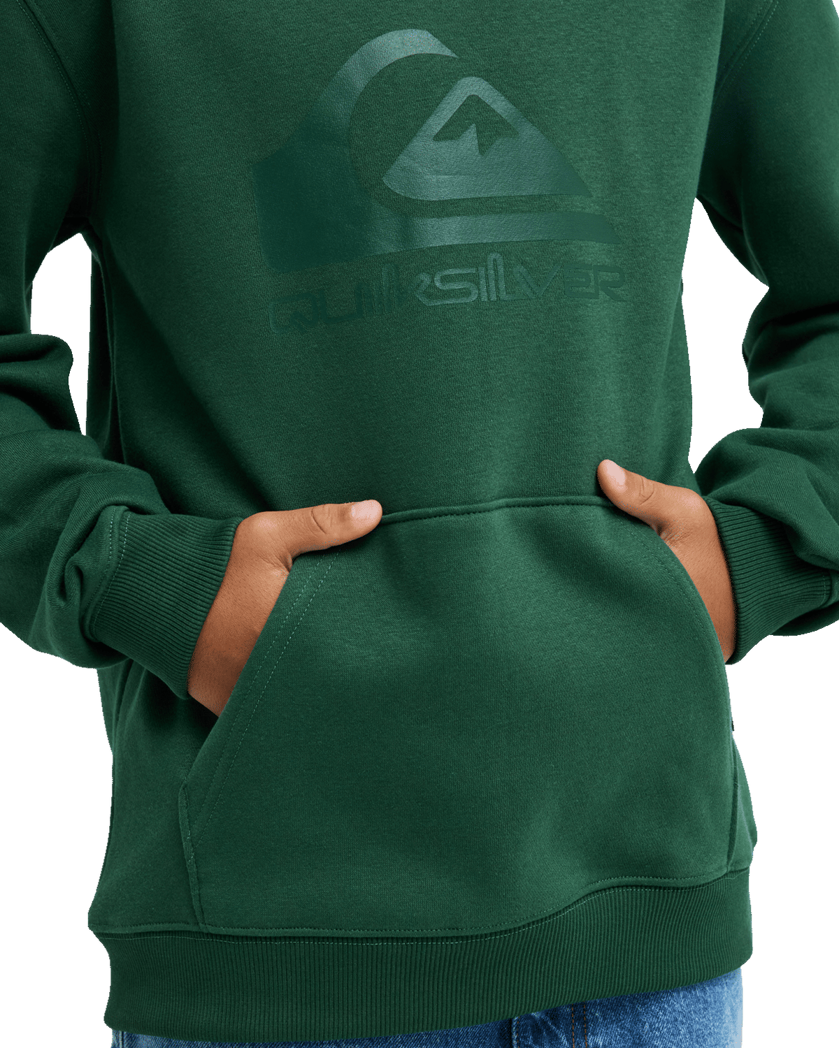 The Quiksilver Boys Boys Comp Logo Hoodie in Forest