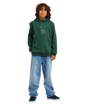 The Quiksilver Boys Boys Comp Logo Hoodie in Forest