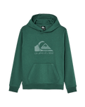 The Quiksilver Boys Boys Comp Logo Hoodie in Forest