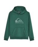 The Quiksilver Boys Boys Comp Logo Hoodie in Forest