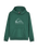 The Quiksilver Boys Boys Comp Logo Hoodie in Forest