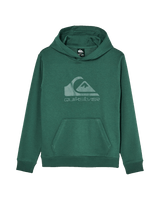The Quiksilver Boys Boys Comp Logo Hoodie in Forest