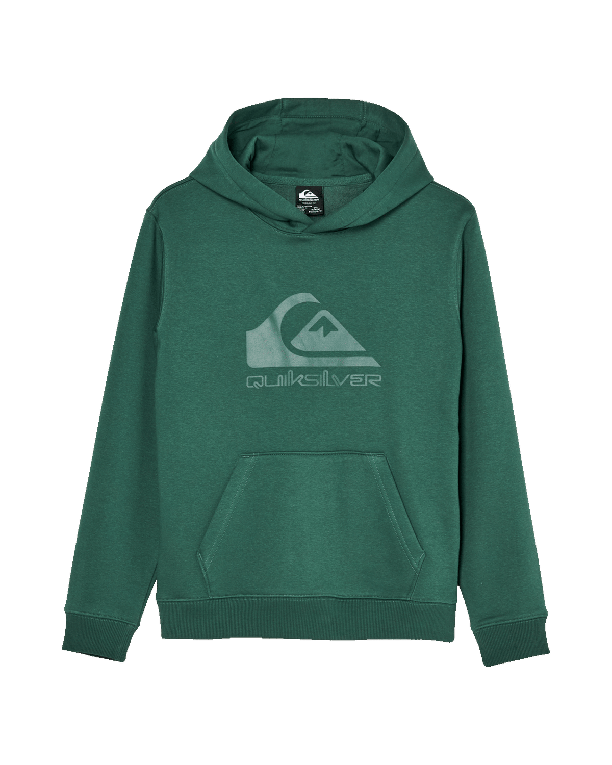 The Quiksilver Boys Boys Comp Logo Hoodie in Forest