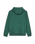 The Quiksilver Boys Boys Comp Logo Hoodie in Forest