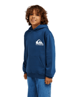 The Quiksilver Boys Boys Omni Logo Hoodie in Dark Denim