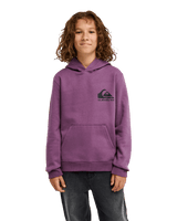The Quiksilver Boys Boys Omni Logo Hoodie in Grape Jam
