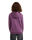 The Quiksilver Boys Boys Omni Logo Hoodie in Grape Jam
