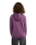 The Quiksilver Boys Boys Omni Logo Hoodie in Grape Jam