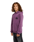The Quiksilver Boys Boys Omni Logo Hoodie in Grape Jam