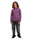The Quiksilver Boys Boys Omni Logo Hoodie in Grape Jam