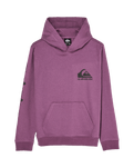 The Quiksilver Boys Boys Omni Logo Hoodie in Grape Jam