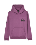 The Quiksilver Boys Boys Omni Logo Hoodie in Grape Jam