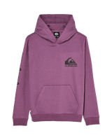 The Quiksilver Boys Boys Omni Logo Hoodie in Grape Jam