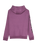 The Quiksilver Boys Boys Omni Logo Hoodie in Grape Jam