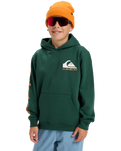The Quiksilver Boys Boys Omni Logo Hoodie in Trekking Green