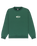 The Quiksilver Boys Boys Salt Water Graphic Sweatshirt in Trekking Green