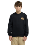 The Quiksilver Boys Boys Graphic Sweatshirt in Black