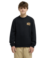 The Quiksilver Boys Boys Graphic Sweatshirt in Black