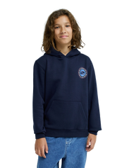 The Quiksilver Boys Boys Graphic Hoodie in Dark Navy