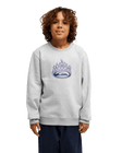 The Quiksilver Boys Boys Graphic Sweatshirt in Light Grey Heather