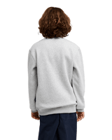 The Quiksilver Boys Boys Graphic Sweatshirt in Light Grey Heather