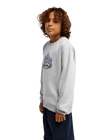 The Quiksilver Boys Boys Graphic Sweatshirt in Light Grey Heather