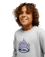 The Quiksilver Boys Boys Graphic Sweatshirt in Light Grey Heather