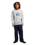 The Quiksilver Boys Boys Graphic Sweatshirt in Light Grey Heather