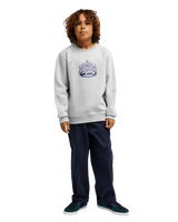 The Quiksilver Boys Boys Graphic Sweatshirt in Light Grey Heather
