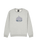 The Quiksilver Boys Boys Graphic Sweatshirt in Light Grey Heather