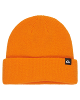 The Quiksilver Boys Boys Performer Beanie in Orange Peel