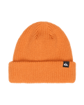 The Quiksilver Boys Boys Performer Beanie in Jaffa Orange