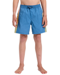 The Quiksilver Boys Boys Everyday Holmes Volley Shorts in Coronet Blue Holmes