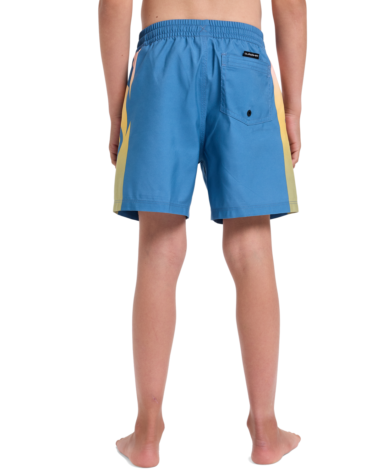 The Quiksilver Boys Boys Everyday Holmes Volley Shorts in Coronet Blue Holmes