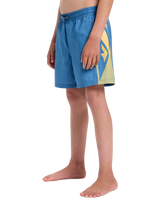 The Quiksilver Boys Boys Everyday Holmes Volley Shorts in Coronet Blue Holmes