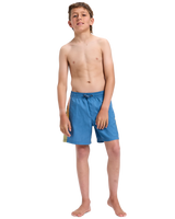 The Quiksilver Boys Boys Everyday Holmes Volley Shorts in Coronet Blue Holmes