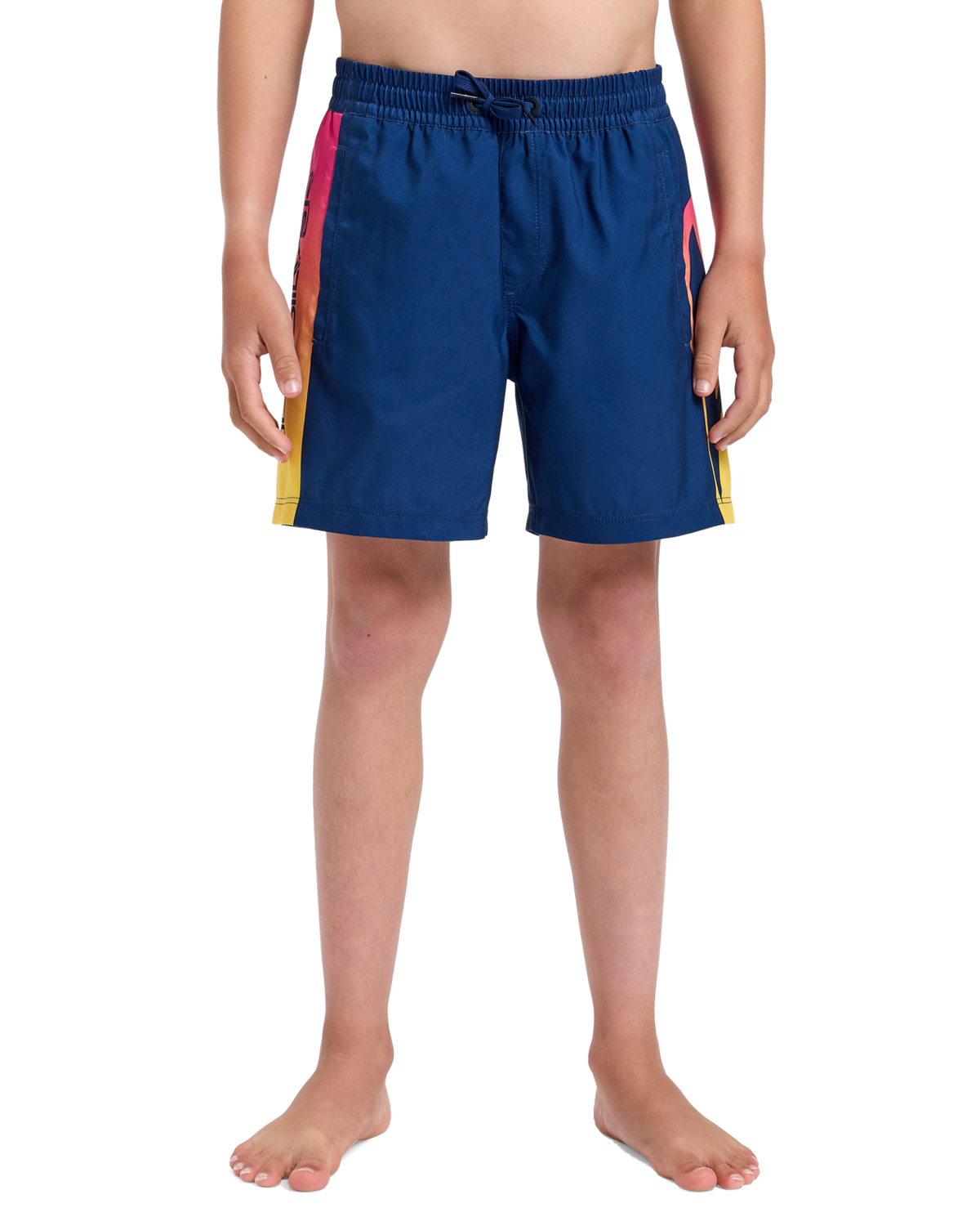 The Quiksilver Boys Boys Everyday Holmes Volley Shorts in Estate Blue Holmes
