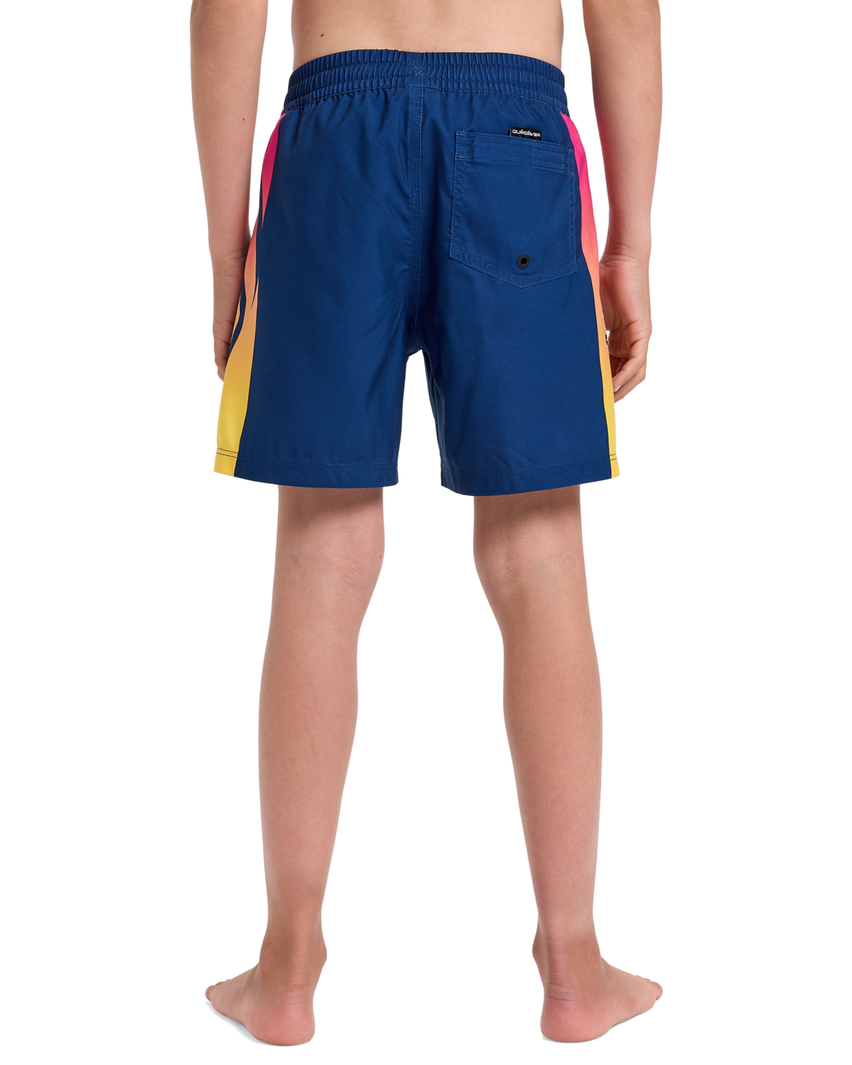 The Quiksilver Boys Boys Everyday Holmes Volley Shorts in Estate Blue Holmes