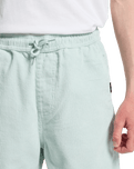 Boys Taxer Cord Walkshorts in Blue Haze