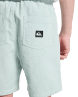Boys Taxer Cord Walkshorts in Blue Haze