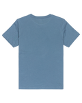 The Quiksilver Boys Boys Comp Logo T-Shirt in China Blue