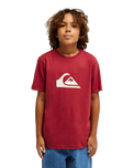 The Quiksilver Boys Boys Comp Logo T-Shirt in Burnt Russet